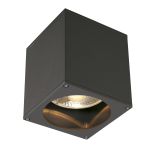 SLV Big Theo Ceiling Spot Aluminium Anthracite | Outdoor - IP44 - Suitable for 1x GU10 Max. 75W - Dimmable