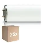 Multipack 25x Philips TL-DK 36W - Blacklight | 60cm - Insectkiller